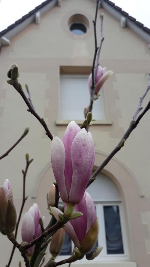 Willerval Le Gite Du Magnolia מראה חיצוני תמונה